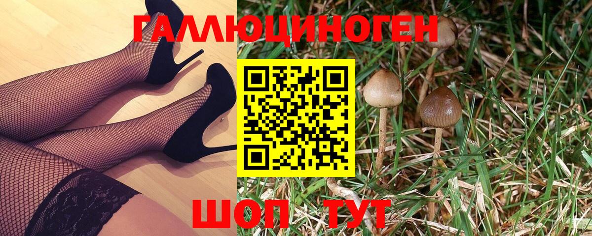 Псилоцибиновые грибы Psilocybe  Вход с VPN  Учалы 
